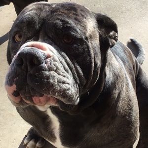 Meet your Posher, Melanie